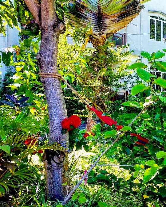 surf-house-villa-dor-la-gaulette-mauritius-surf-holidays-garden.e0b39fc3